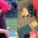 Sohail Ansari: A yoga teacher or a promoter of obscenity?